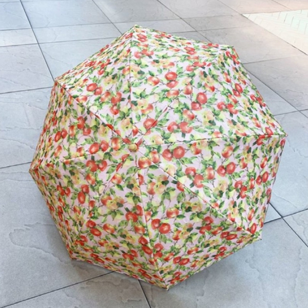 [애슬릿] 열매 이중 암막 양산 우산 수동 우양산