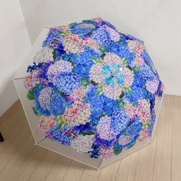[애슬릿] 수국 반투명 자동 곡자 우산 장우산